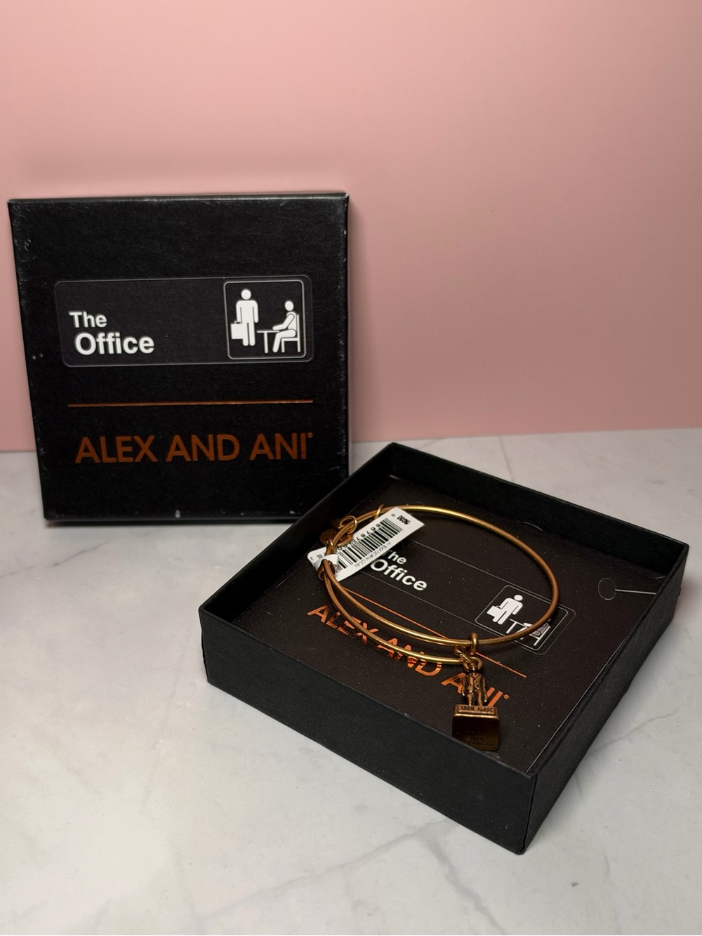 🏆 Alex and Ani The Office Bangle Bracelet